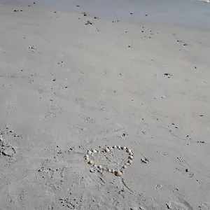 https://al-sale.in-sardinia.net